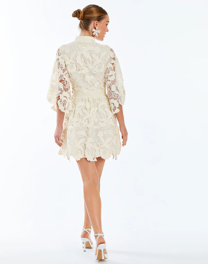 Carmen Lace Mini Dress - Image 5