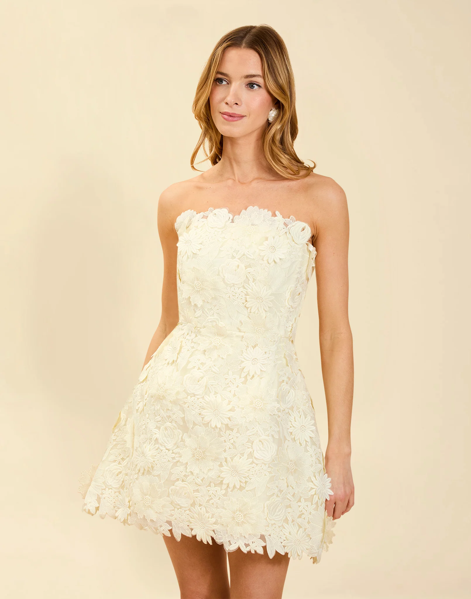 Dottie Lace Mini Dress - Image 3