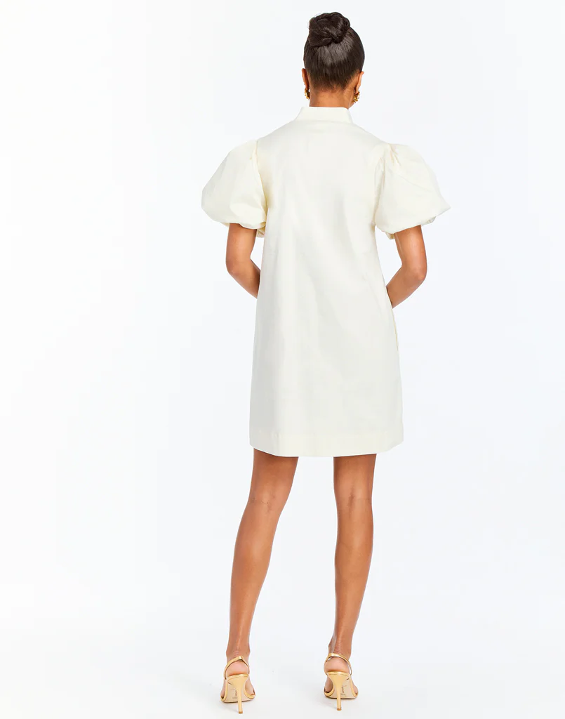 Elliana Barong Mini Dress - Image 4