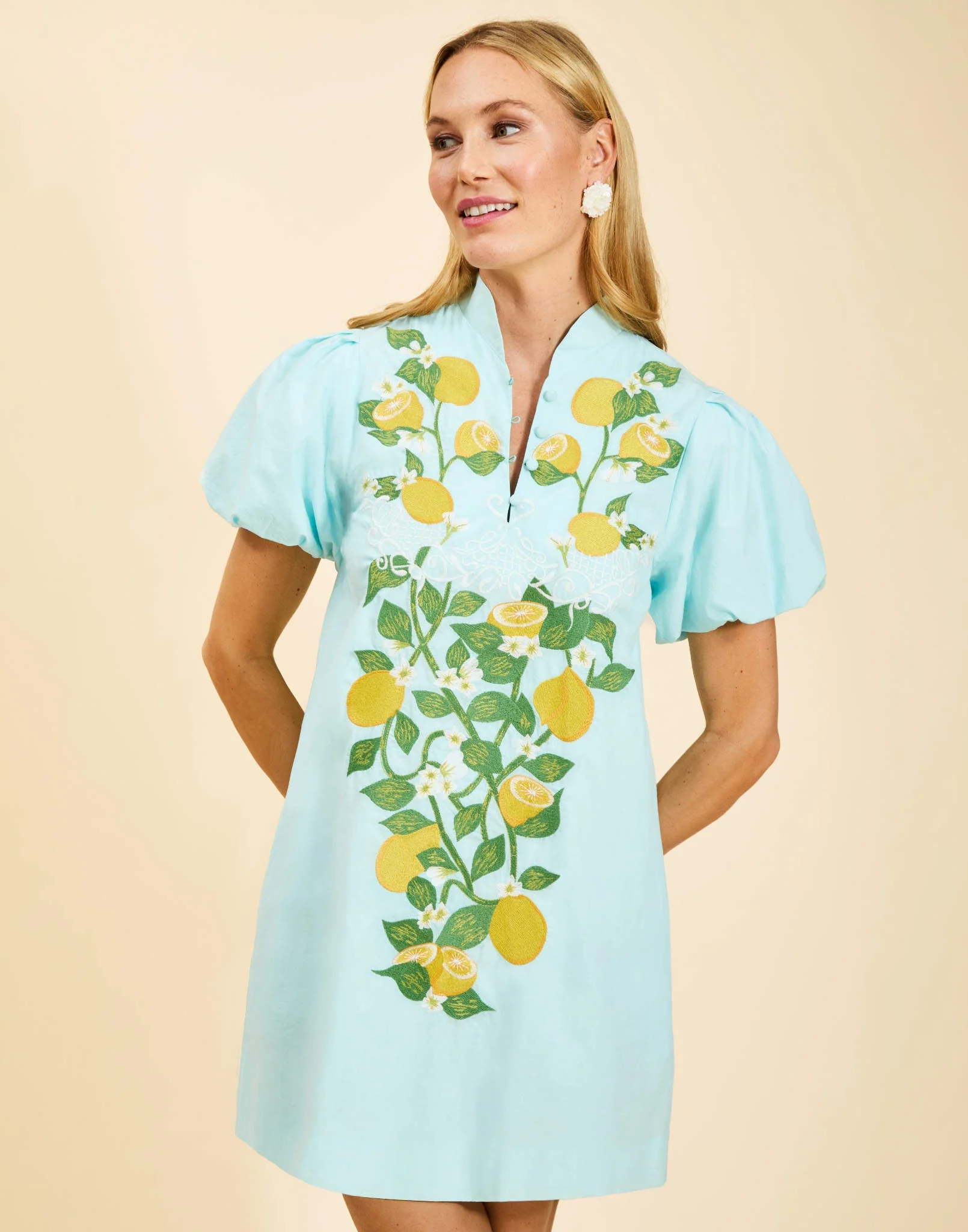Elliana Barong Mini Dress