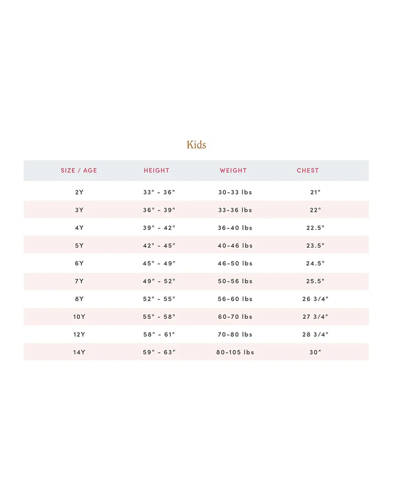 Pink Chicken x Mestiza Little Girl's Clementine Mini Dress - Image 8